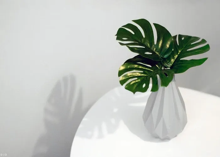 Clicktheflat Hoza Street *