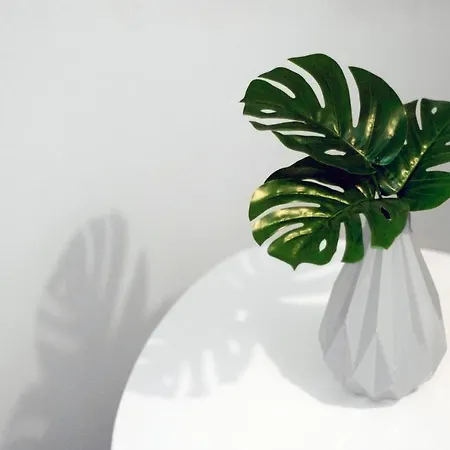 Clicktheflat Hoza Street *